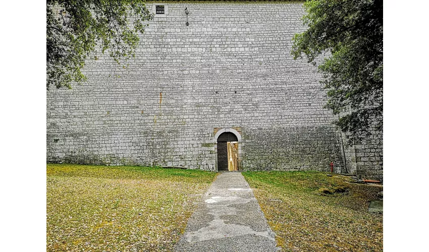 Rocca Flea