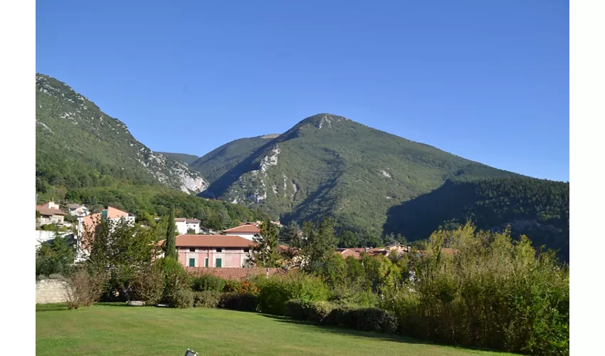 Rocca Flea