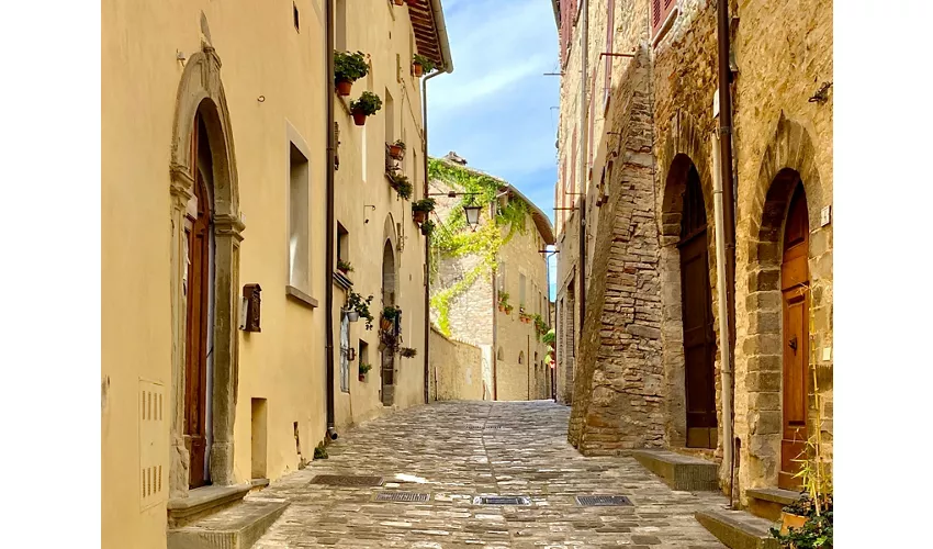 Museumskomplex des Heiligen Franziskus in Montone