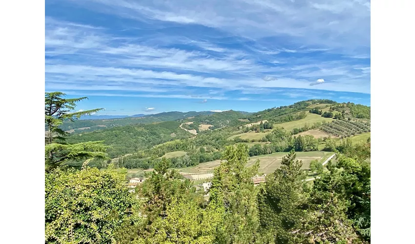 Museumskomplex des Heiligen Franziskus in Montone