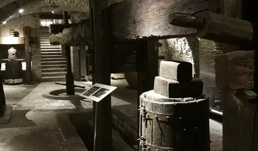MUVIT - Museo del Vino