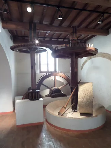MOO - Museo dell'Olivo e dell'Olio