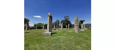 Campo del Sole