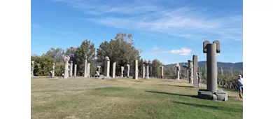 Campo del Sole