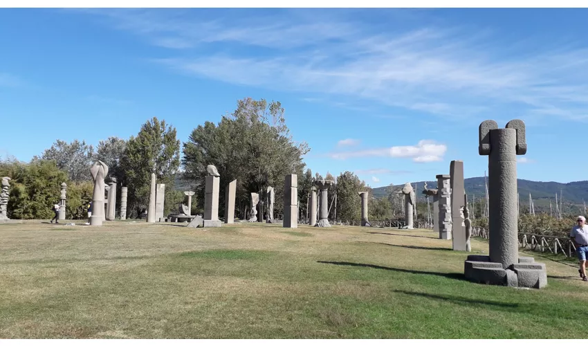 Campo del Sole