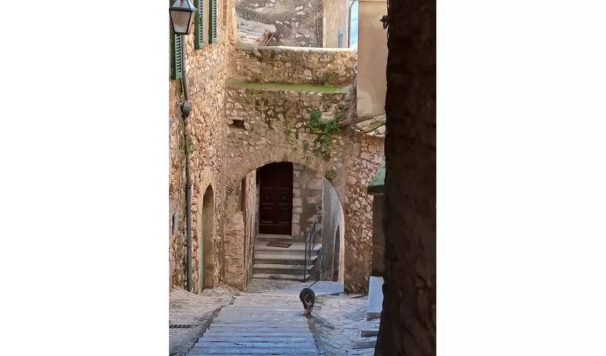 Museo del Monastero delle Orsoline e Collezione Chiomenti-Vassalli