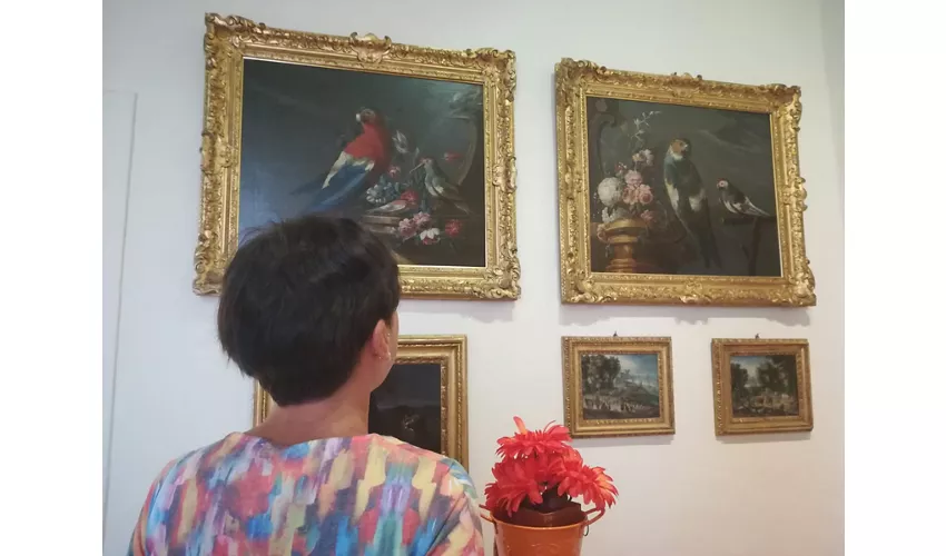 Museo del Monastero delle Orsoline e Collezione Chiomenti-Vassalli