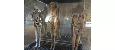 Cripta - Museo delle Mummie