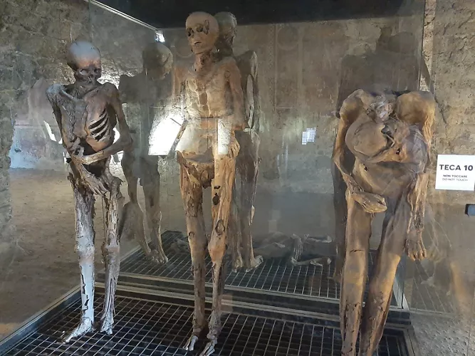 Cripta - Museo delle Mummie