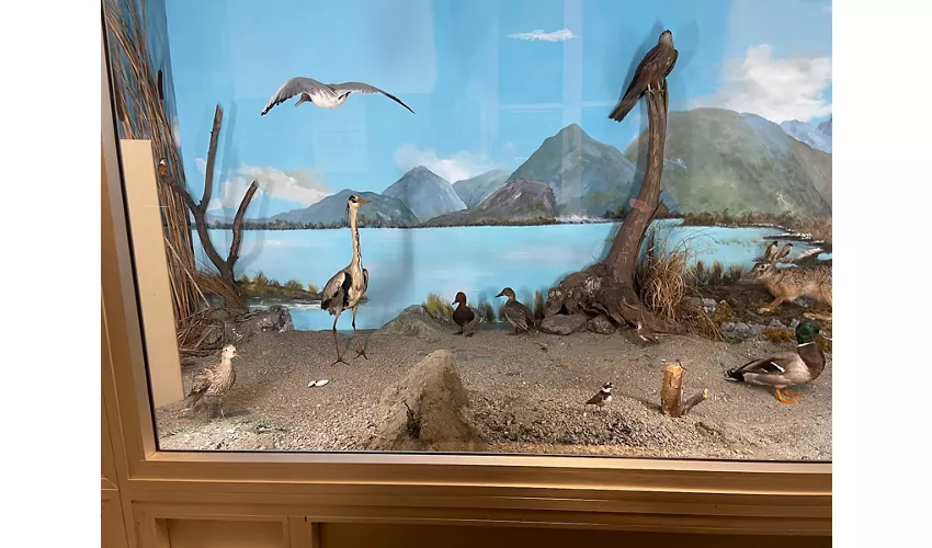 Museu dos Alpes