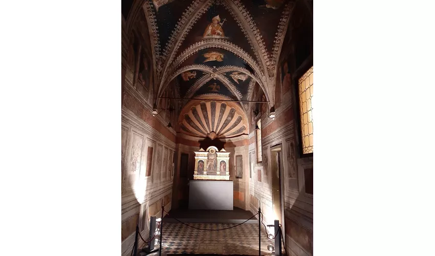 Museo Diocesano di Padova