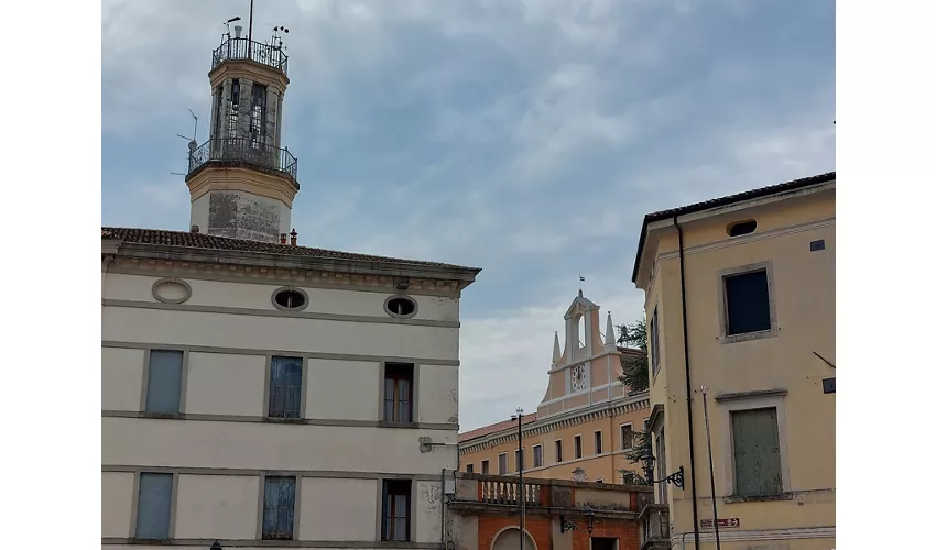 Museo di Scienze Naturali "Antonio De Nardi"
