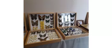 Museo di Scienze Naturali "Antonio De Nardi"