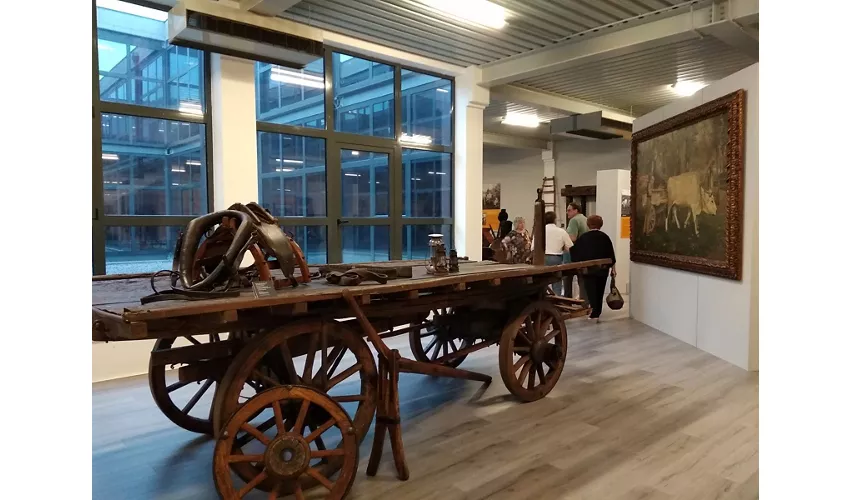 MUB – Museum der Landgewinnung