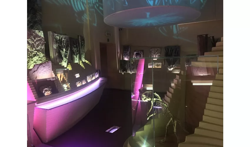 Musée d'histoire naturelle Giancarlo Ligabue