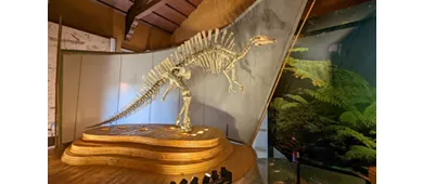 Musée d'histoire naturelle Giancarlo Ligabue