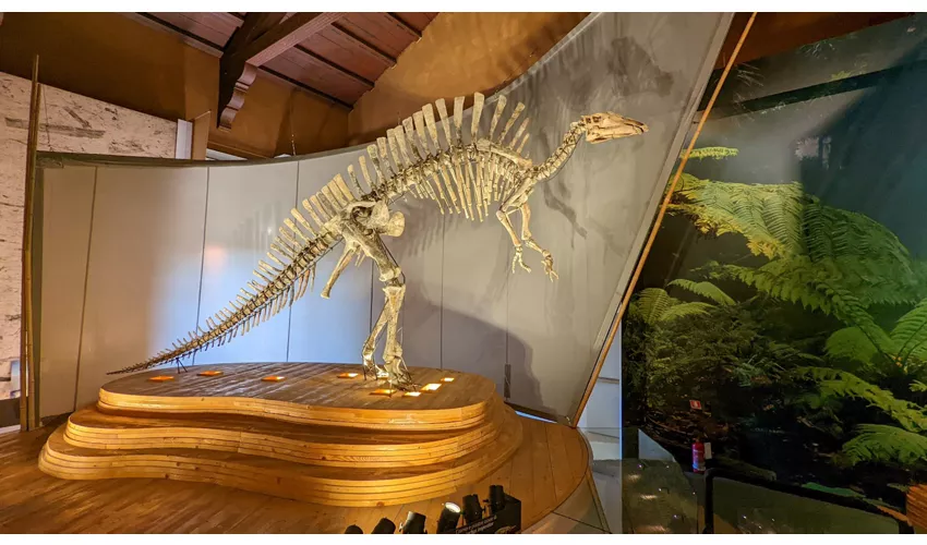 Museo di Storia Naturale Giancarlo Ligabue