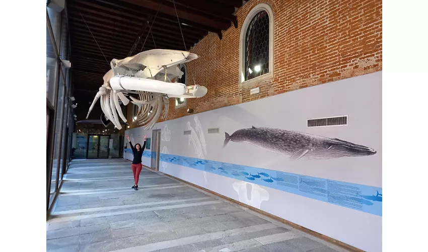 Naturkundemuseum Giancarlo Ligabue