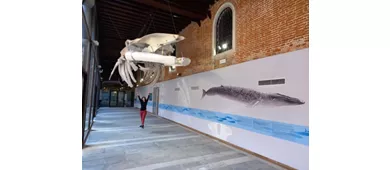 Museo di Storia Naturale Giancarlo Ligabue