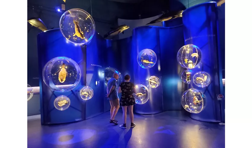 Musée d'histoire naturelle Giancarlo Ligabue