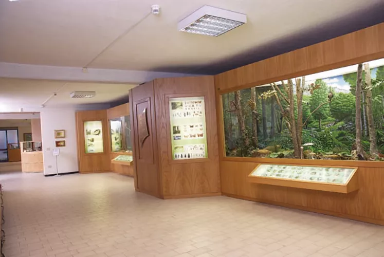 Museo Naturalistico Didattico "Patrizio Rigoni"