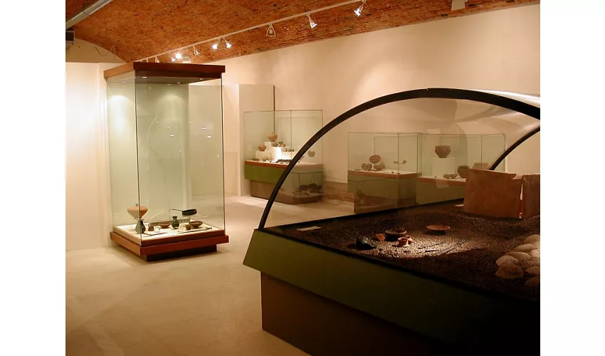 Centro Ambientale Archeologico - Pianura di Legnago – Museo Civico