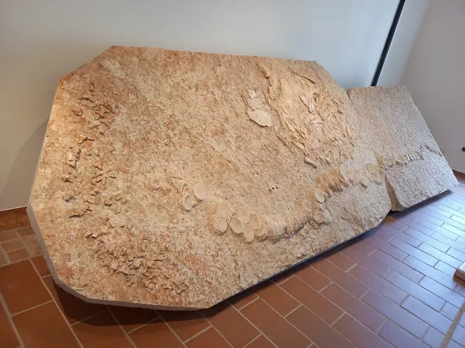 Museo paleontologico e preistorico di Sant'Anna d'Alfaedo