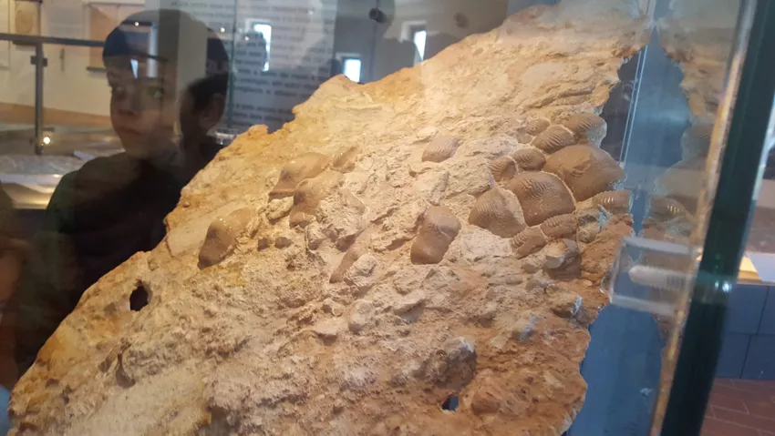 Museo paleontologico e preistorico di Sant'Anna d'Alfaedo