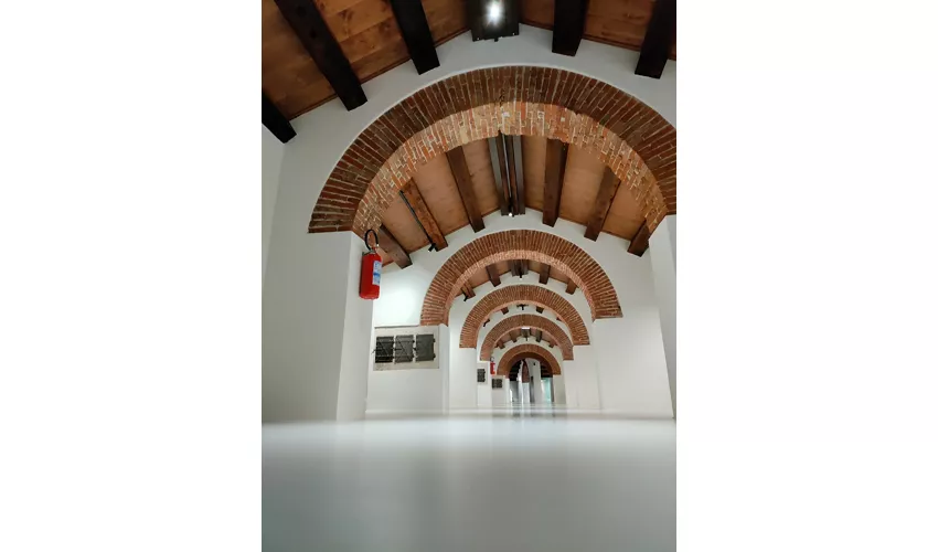 Museo Archeologico Nazionale