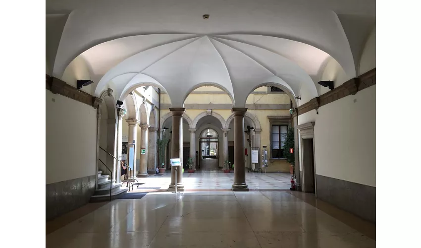 Museu de História Natural