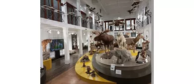 Museo di Zoologia dell'Università di Catania