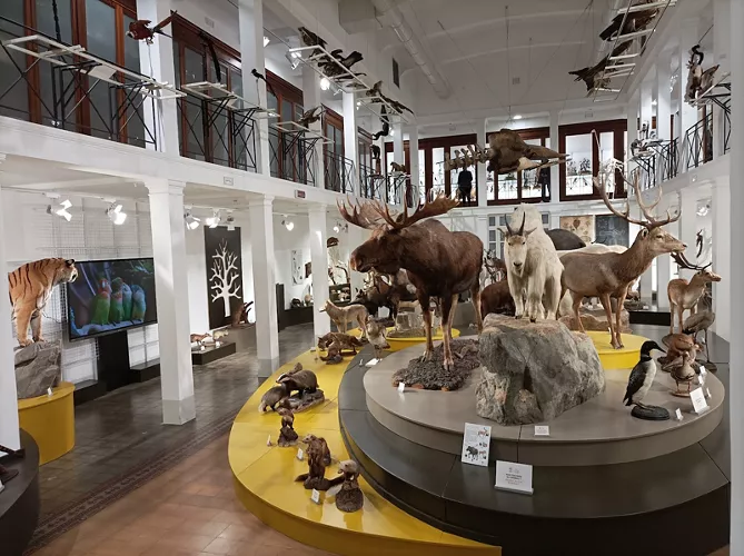 Museo di Zoologia dell'Università di Catania