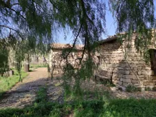 Parco archeologico di Occhiolà