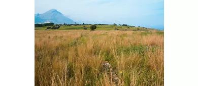 Area archeologica di Imera