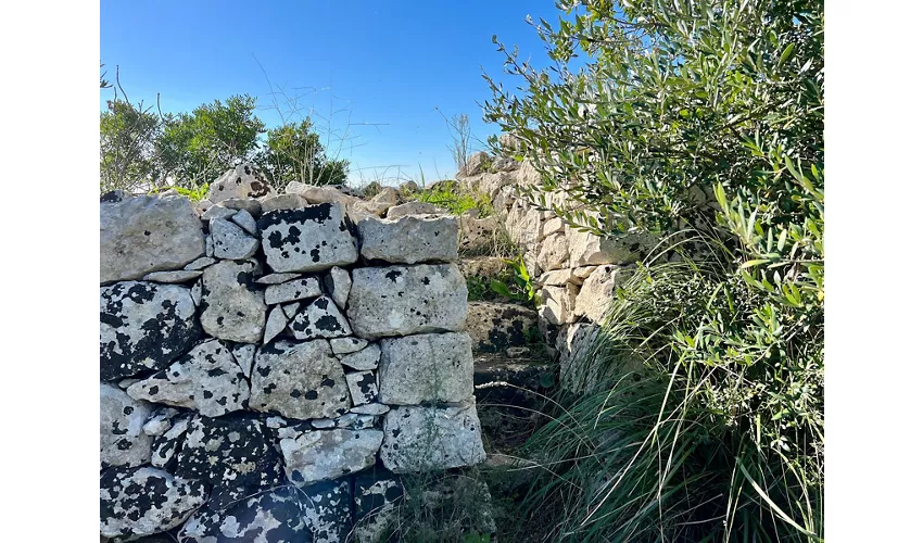 Nekropolen von Castelluccio