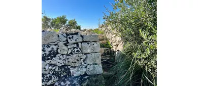 Nekropolen von Castelluccio