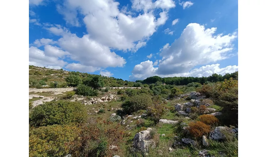 Nekropolen von Castelluccio