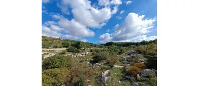 Nekropolen von Castelluccio