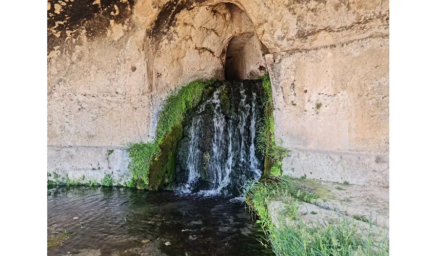 Parc archéologique Neapolis