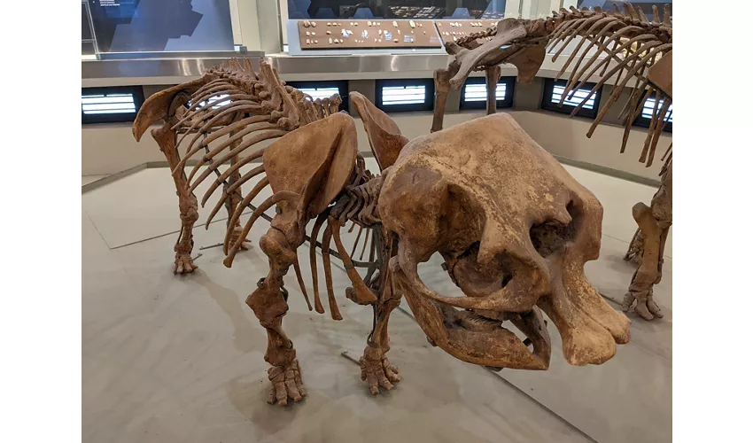 Regionales archäologisches Museum „Paolo Orsi“