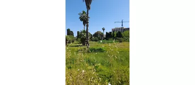 Ginnasio Romano
