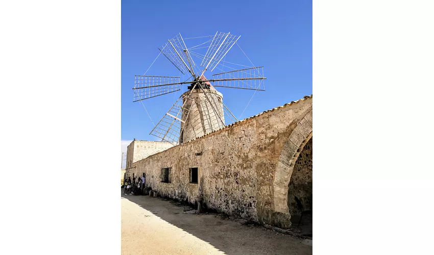 Museo del Sale