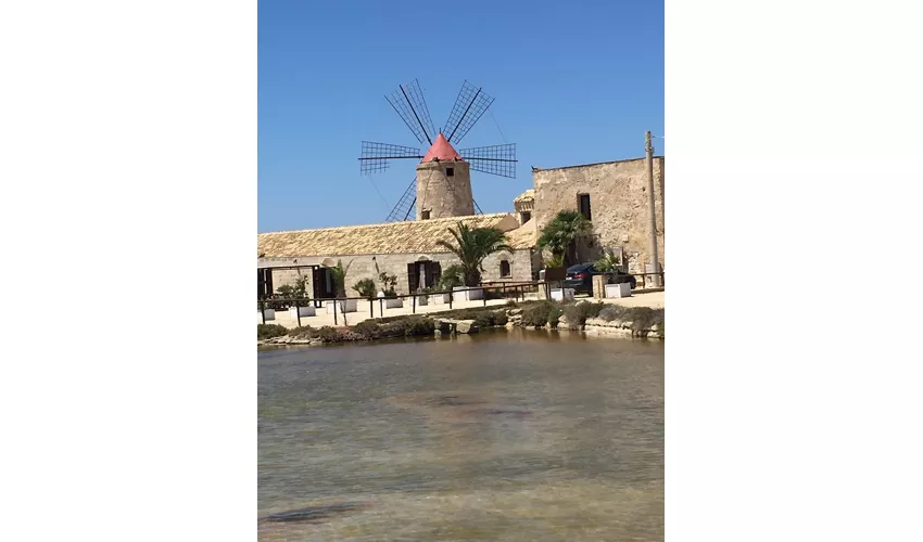 Musée du sel