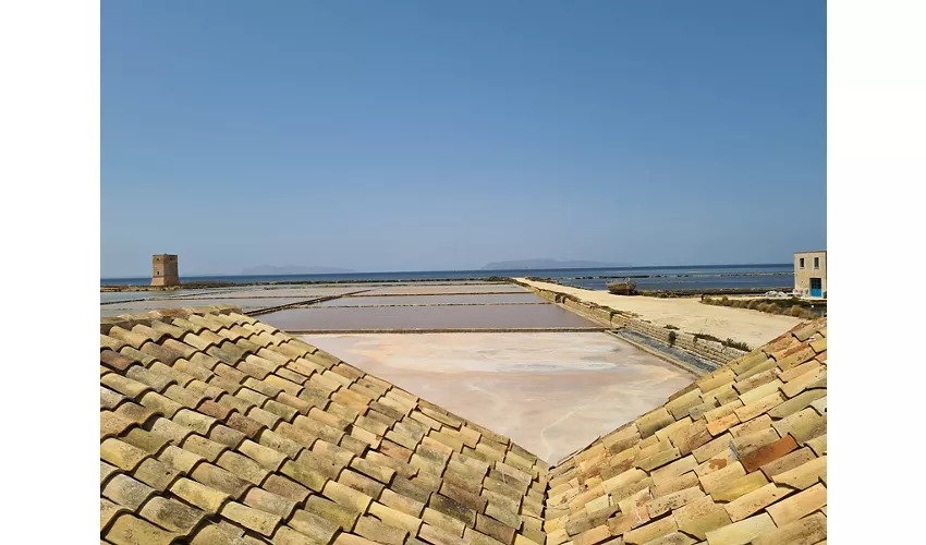 Musée du sel