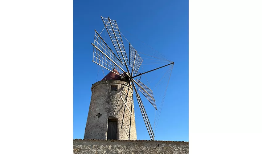 Museo del Sale