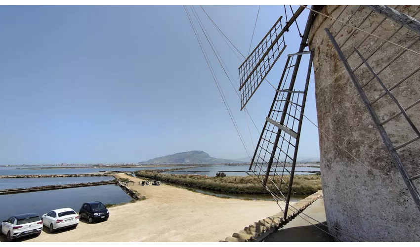 Museo del Sale