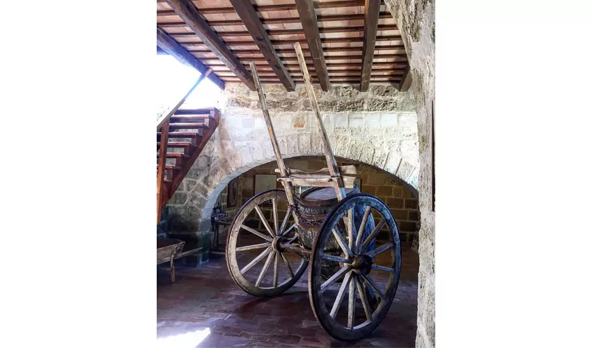 Museo del Sale