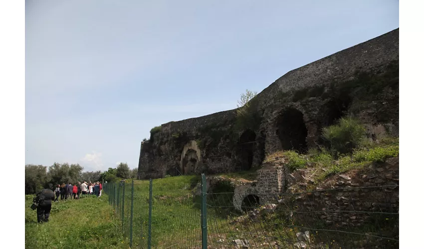 Barco Borghese