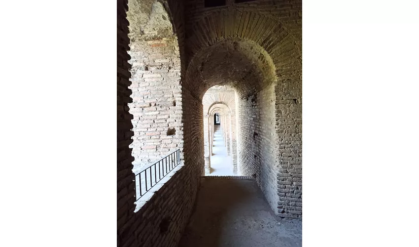 Musée des Murailles