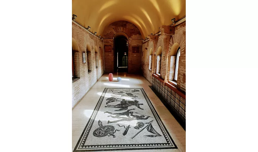 Musée des Murailles